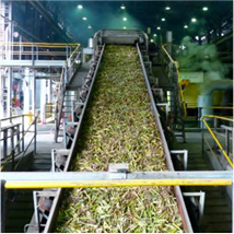 Sugar Mill Chains