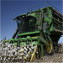 Cotton Module Truck Chain